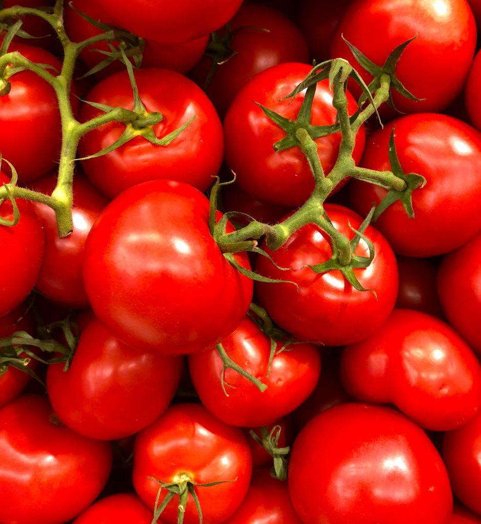 Herby goats cheese tomatoes toast