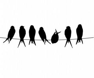 birds-on-a-wire