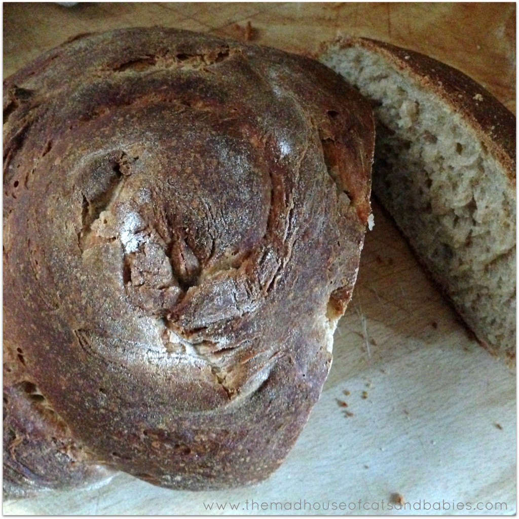 sour dough bread