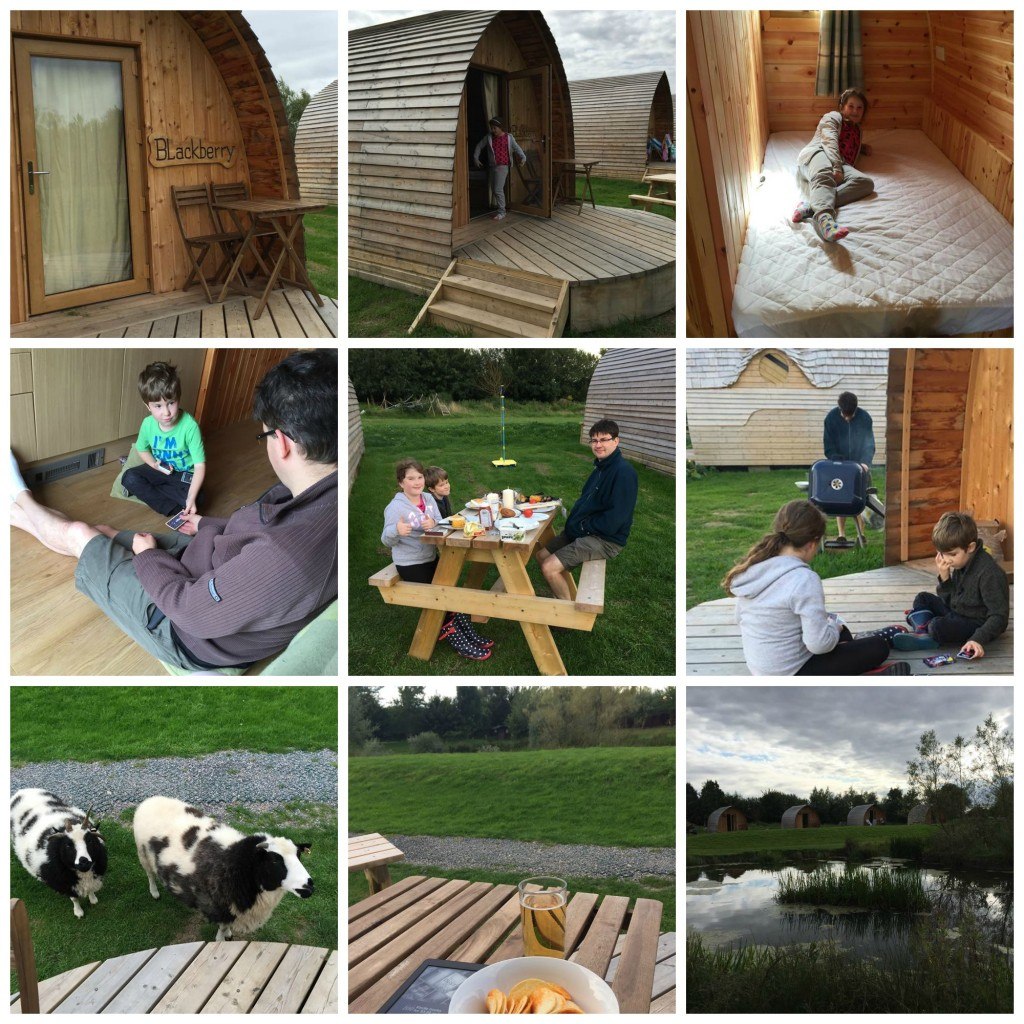 Glamping collage