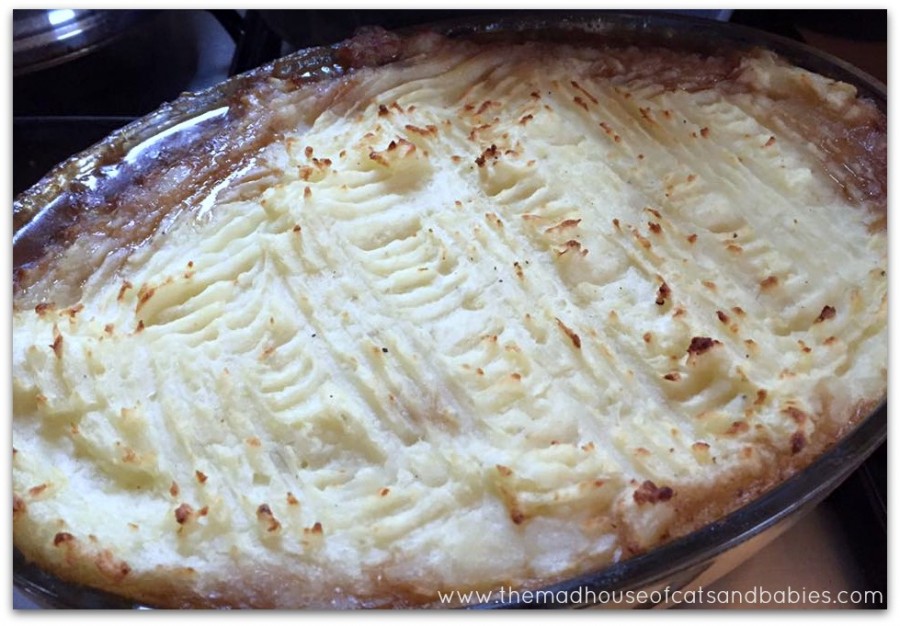 Vegetarian, gluten and dairy-free shepherds pie. - CatsKidsChaos