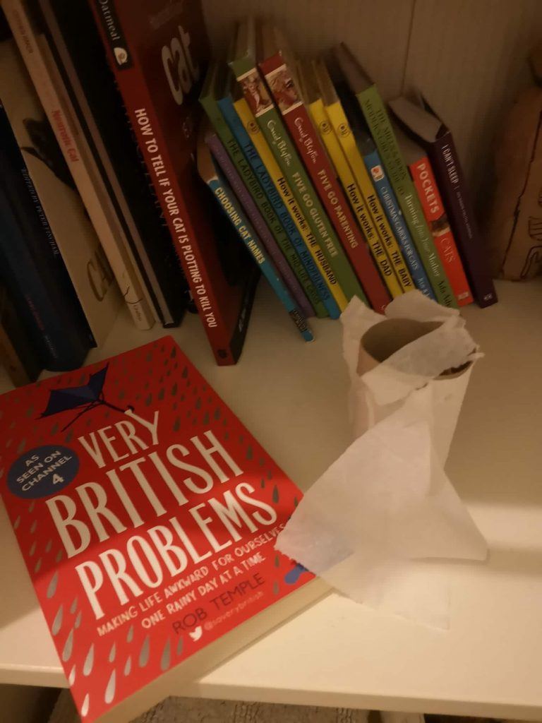 Empty toilet roll next to a book on a bathroom shelf 