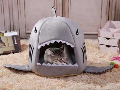 Shark store bed cat