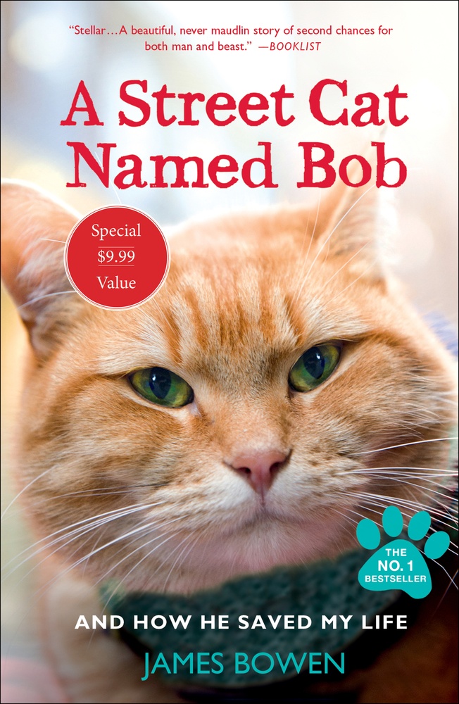 literary analysis with a thesis statement a street cat named bob