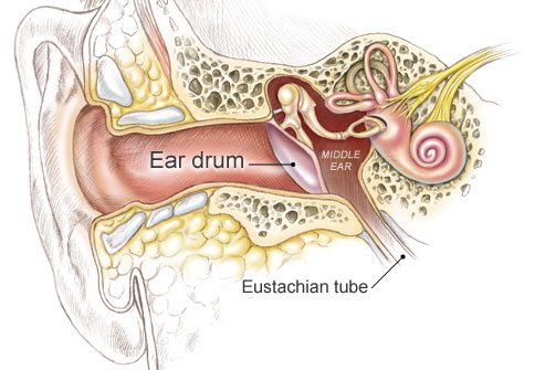 Tips to prevent ear infections from happening.