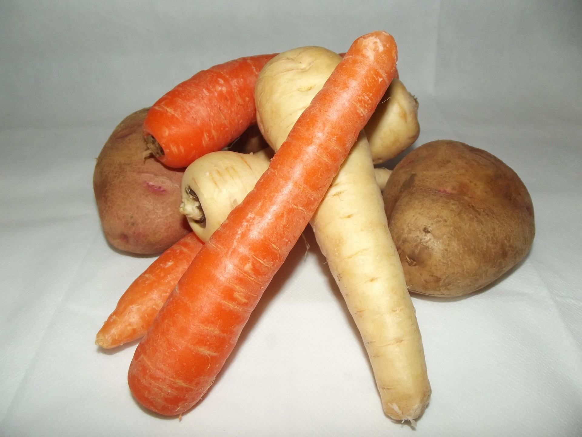 parsnip-carrot-and-sweet-potato-soup-catskidschaos