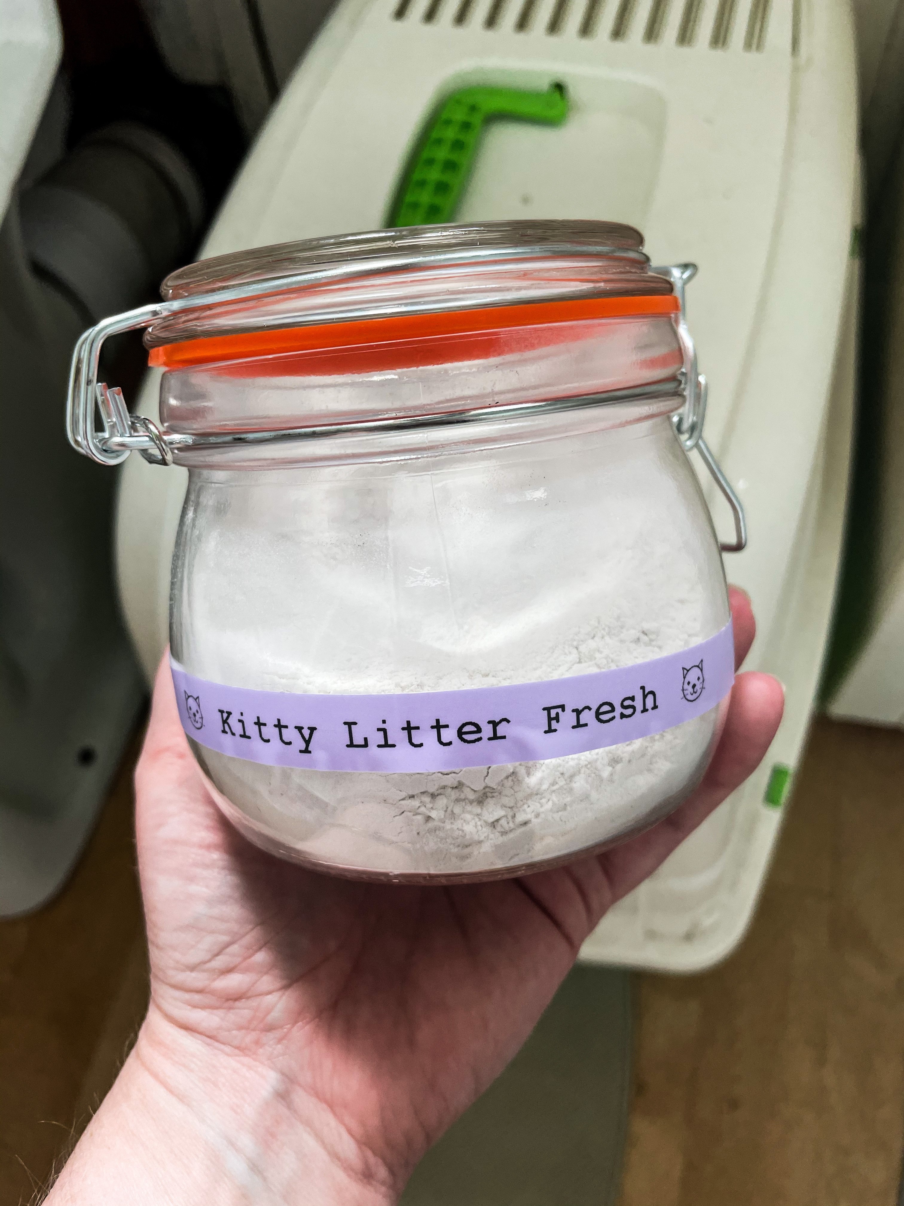 Homemade cat outlet litter freshener