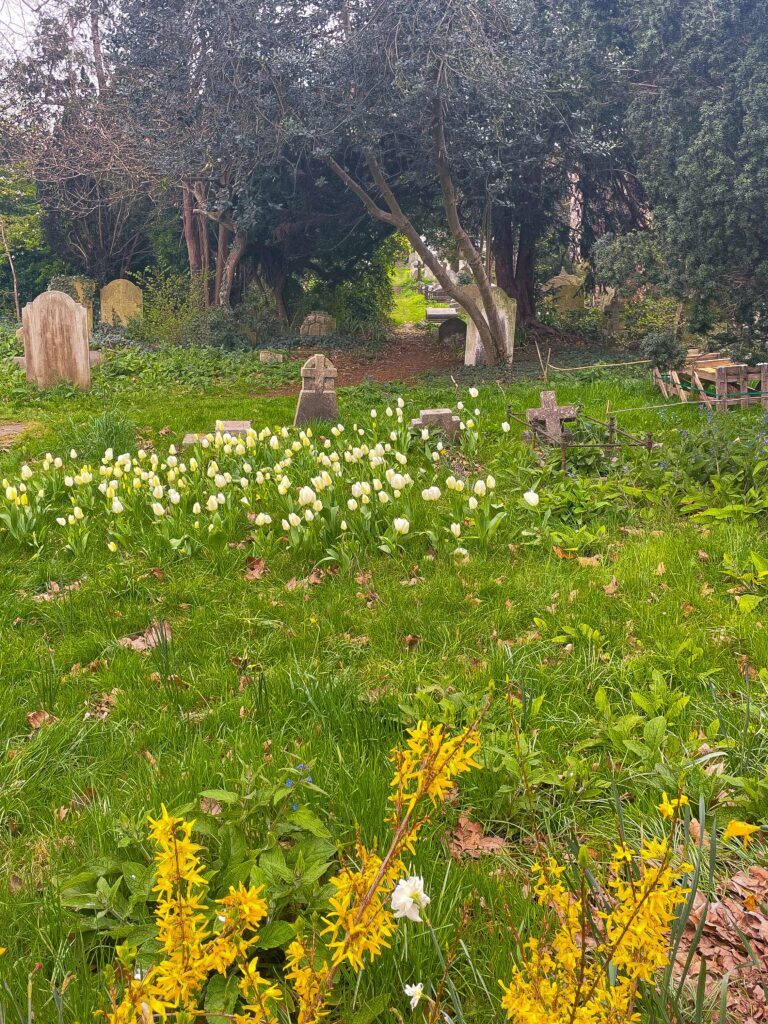 cemeteries are fascinating