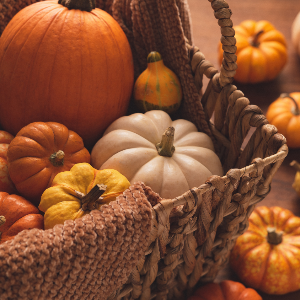 pumpkin pasta bake