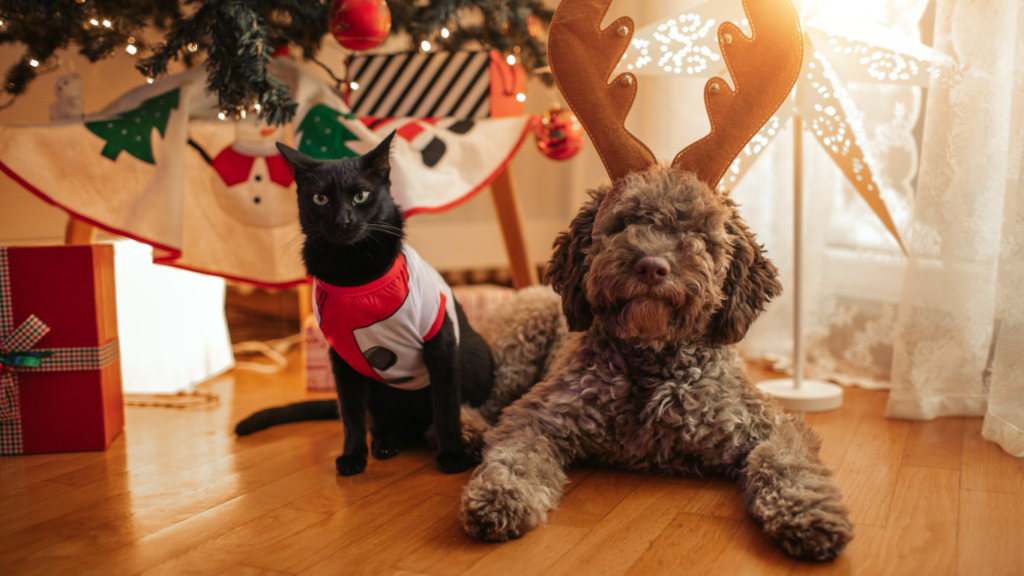 keeping pets safe during Christmas